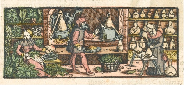 The History of Western Herbal Medicine